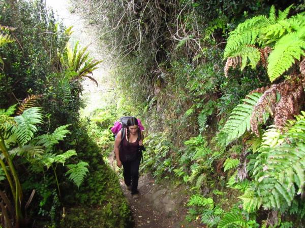 Fotografía 7 de Turismo Isla Robinson Crusoe en Juan Fernandez, Valparaiso