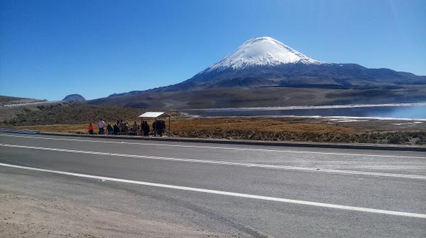 Fotografía 11 de Transportes y Servicios Yamilet SPA en Arica, Arica Y Parinacota