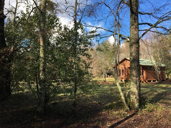Fotografía 2 de Cabañas para 4 personas en Villarrica en Villarrica, Araucania