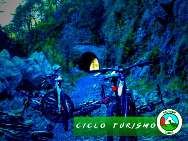 Fotografía 6 de Excursiones y Tours por Curacautín, Araucanía, Chile en Curacautin, Araucania