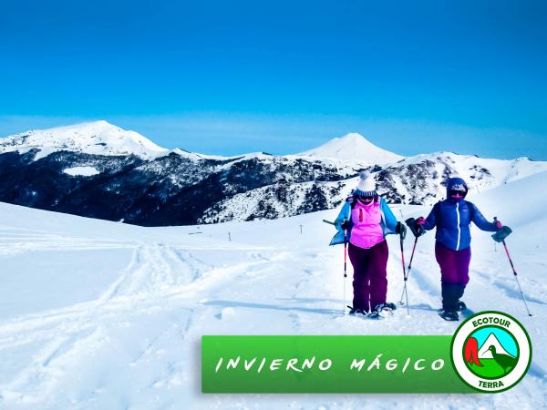 Fotografía 7 de Excursiones y Tours por Curacautín, Araucanía, Chile en Curacautin, Araucania