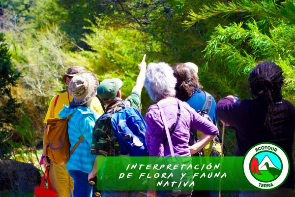Fotografía 10 de Excursiones y Tours por Curacautín, Araucanía, Chile en Curacautin, Araucania