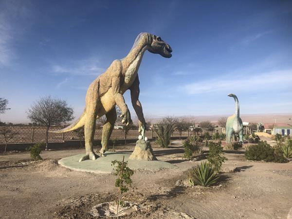Fotografía 10 de Altos del Norte Travel en Iquique, Tarapaca