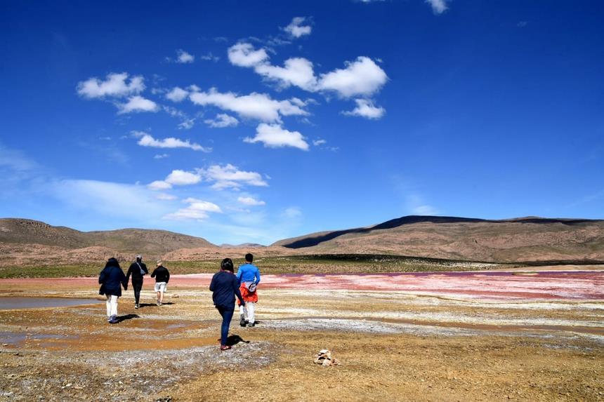 Fotografía 14 de Altos del Norte Travel en Iquique, Tarapaca