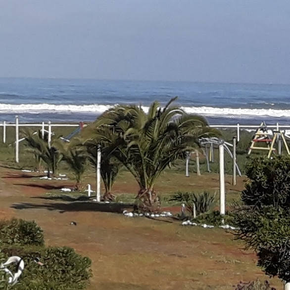 Fotografía 4 de Camping en Playas de Iloca Curicó, Talca, Región del Maule en Licanten, Maule