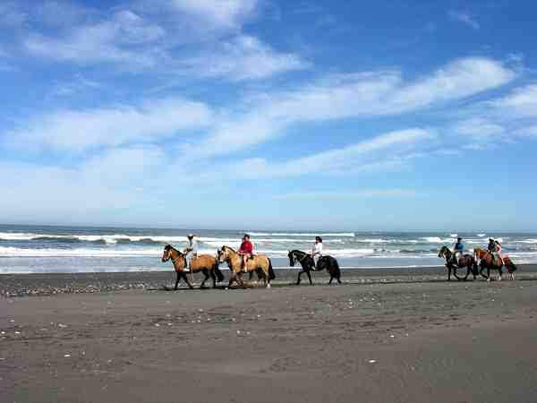 Fotografía 5 de Camping en Playas de Iloca Curicó, Talca, Región del Maule en Licanten, Maule