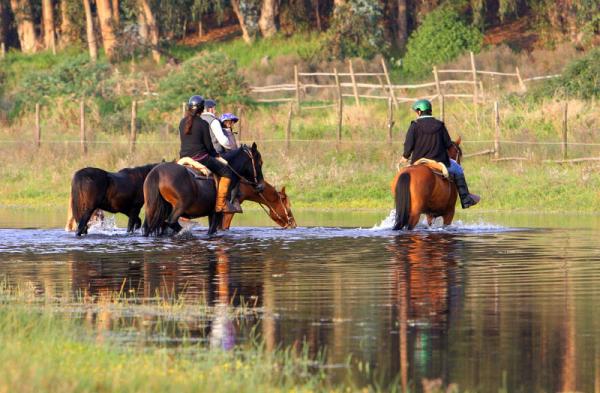 Fotografía 2 de Cabalgatas Guiadas por campo, bosque, playa y dunas en Concon, Valparaiso