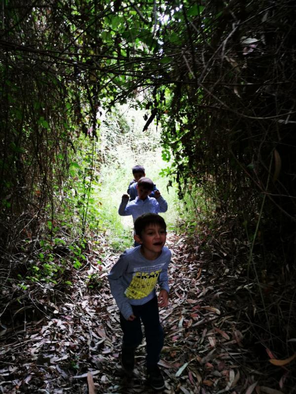 Fotografía 6 de Cumpleaños aventurero en la naturaleza en Concon, Valparaiso