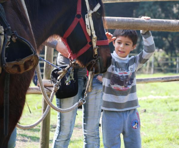 Fotografía 16 de Cumpleaños aventurero en la naturaleza en Concon, Valparaiso