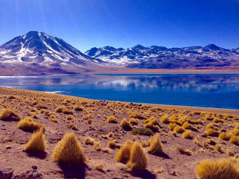 Fotografía 17 de Tour Operador en San Pedro de Atacama en San Pedro De Atacama, Antofagasta