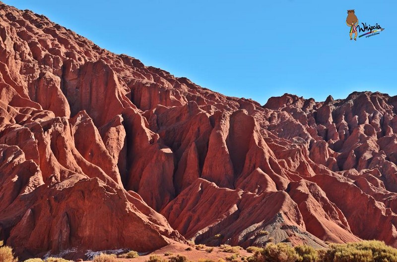 Fotografía 6 de Tour Operador en San Pedro de Atacama en San Pedro De Atacama, Antofagasta