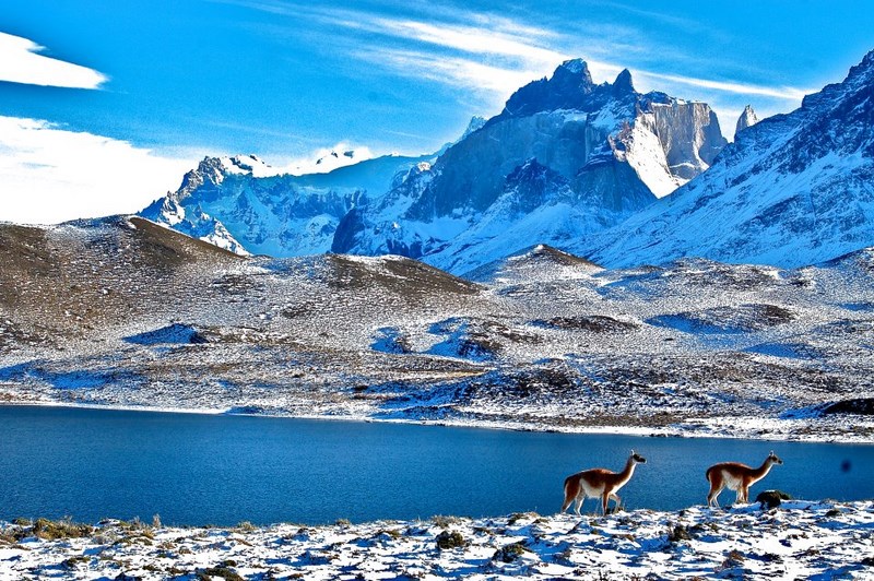 Fotografía 2 de Blue Green Adventures - Torres del Paine en Torres Del Paine, Magallanes