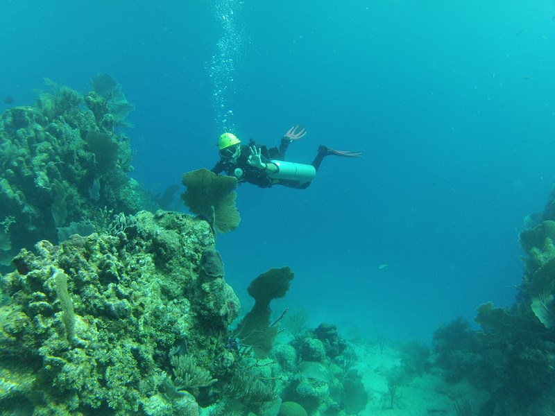 Fotografía 7 de Bahía Inglesa - Cursos PADI - Curso Buceo en Copiapo, Atacama