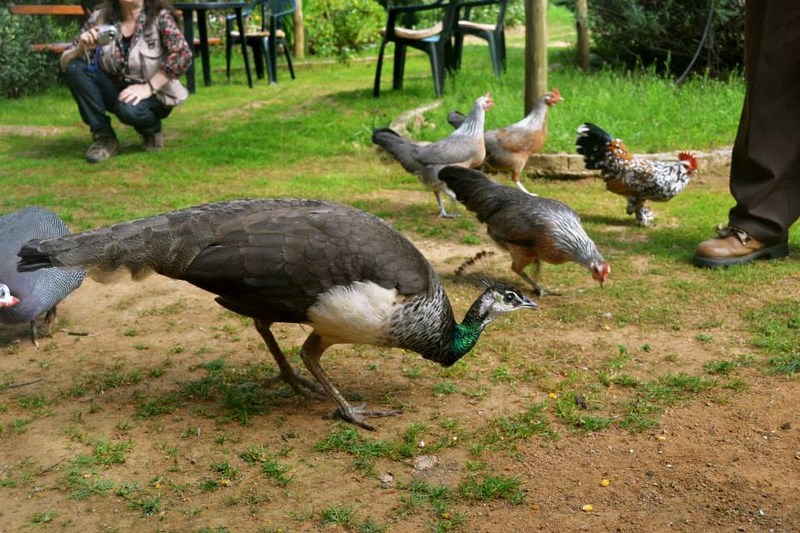 Fotografía 5 de Ecoreserva en Villa Alemana en Villa Alemana, Valparaiso