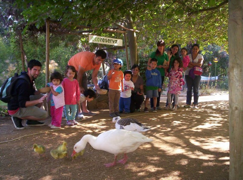 Fotografía 6 de Ecoreserva en Villa Alemana en Villa Alemana, Valparaiso