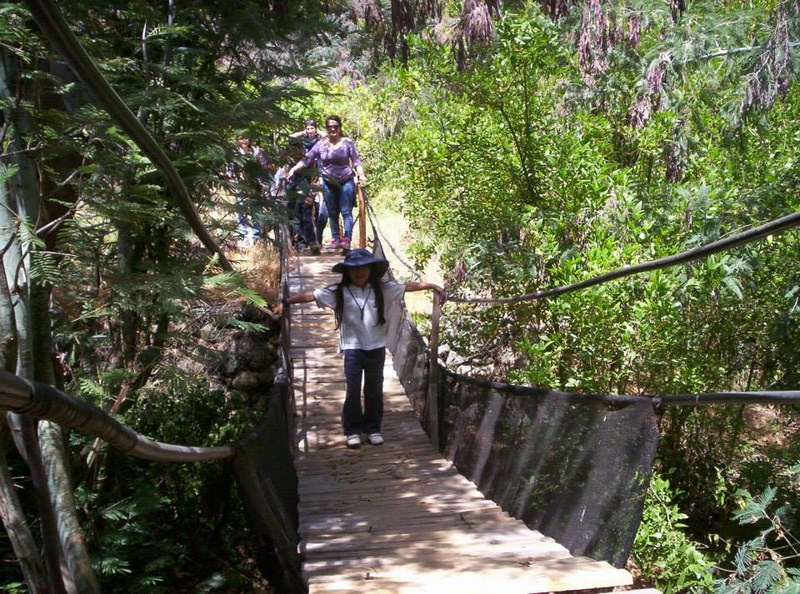Fotografía 7 de Ecoreserva en Villa Alemana en Villa Alemana, Valparaiso