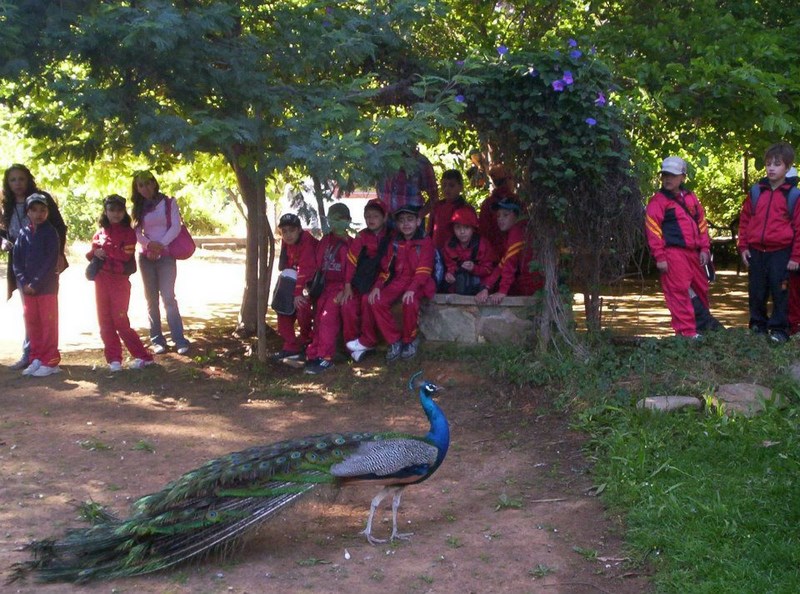 Fotografía 9 de Ecoreserva en Villa Alemana en Villa Alemana, Valparaiso