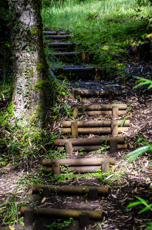 Fotografía 6 de Cabañas y Spa Natural - Panguipulli en Panguipulli, Los Rios