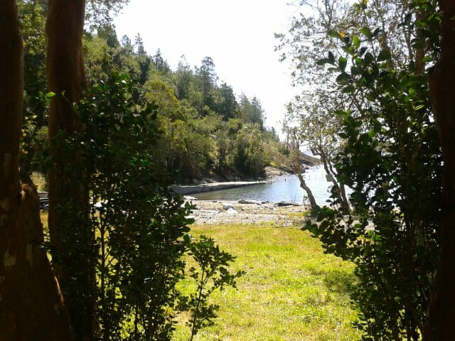 Fotografía 2 de Camping El Canto del Chucao en Lago Ranco, Los Rios