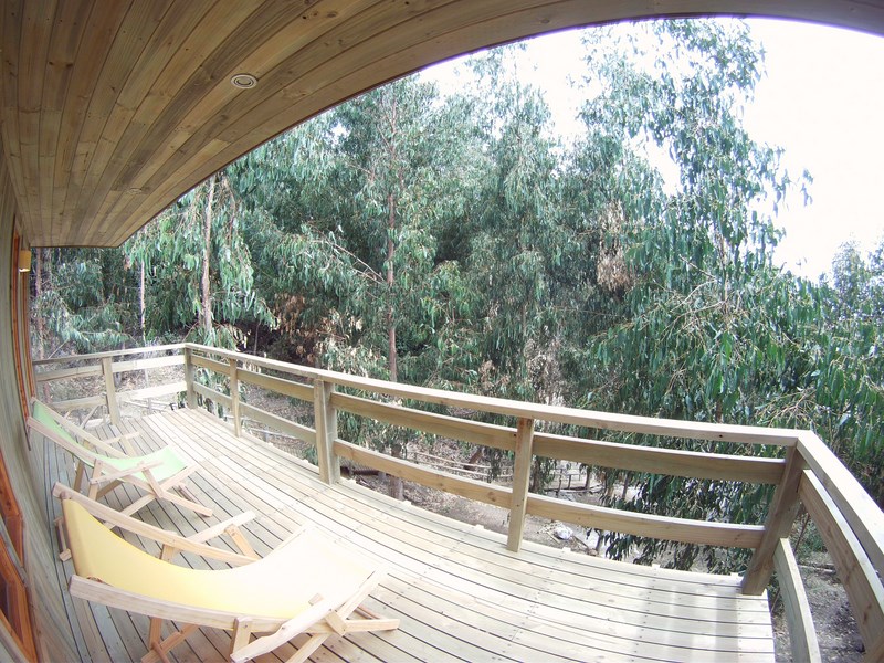 Fotografía 2 de Cabañas Ecologicas en Pelluhue en Pelluhue, Maule