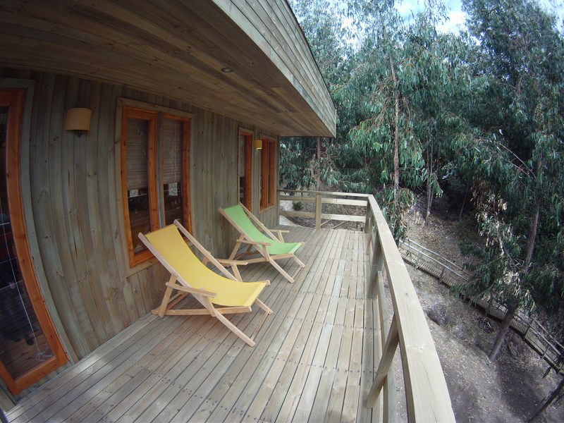 Fotografía 5 de Cabañas Ecologicas en Pelluhue en Pelluhue, Maule