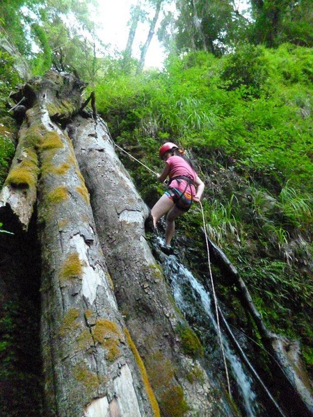 Fotografía 19 de Trekking Reserva Nacional Los Bellotos en Linares, Maule