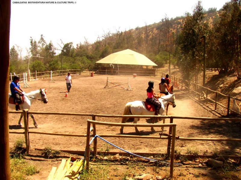 Fotografía 2 de Disfruta de las Cabalgatas en la Montaña en Peñalolen, Metropolitana