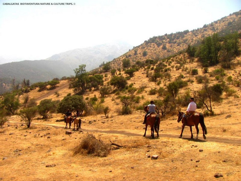 Fotografía 4 de Disfruta de las Cabalgatas en la Montaña en Peñalolen, Metropolitana