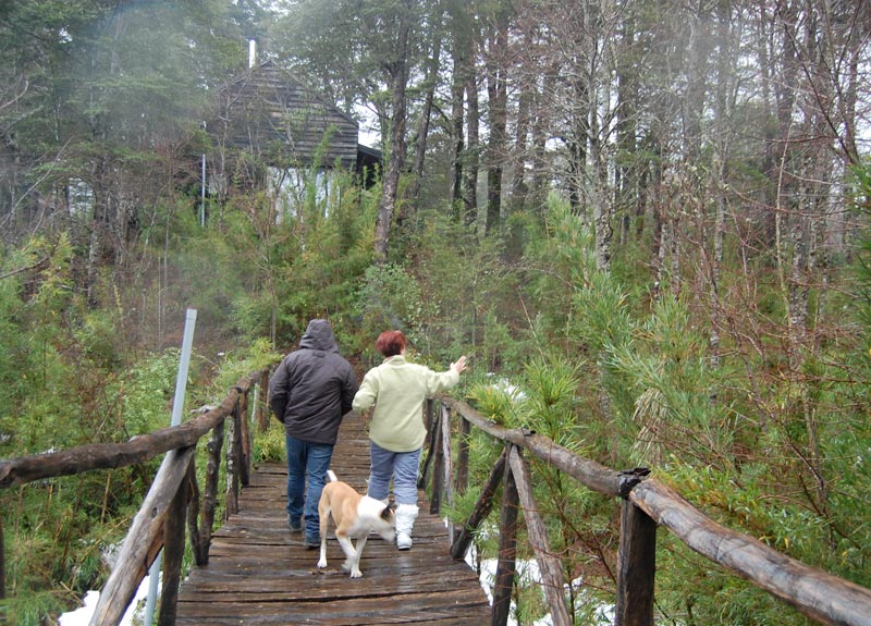 Fotografía 14 de Cabañas Las Tinajas en Curacautin, Araucania