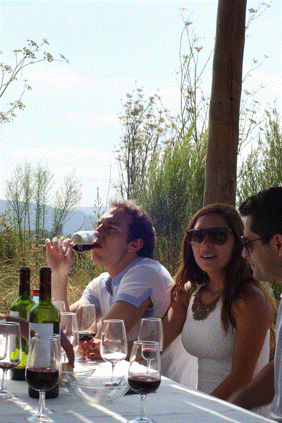 Fotografía 3 de Bodega Wine Tours en Santiago, Metropolitana