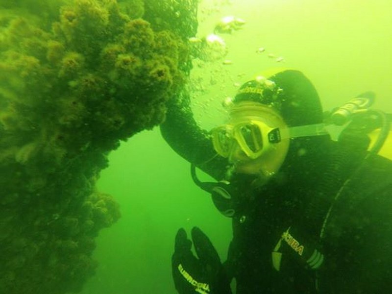 Fotografía 10 de Escuela de buceo en Arica, Oceano Sub en Arica, Arica Y Parinacota