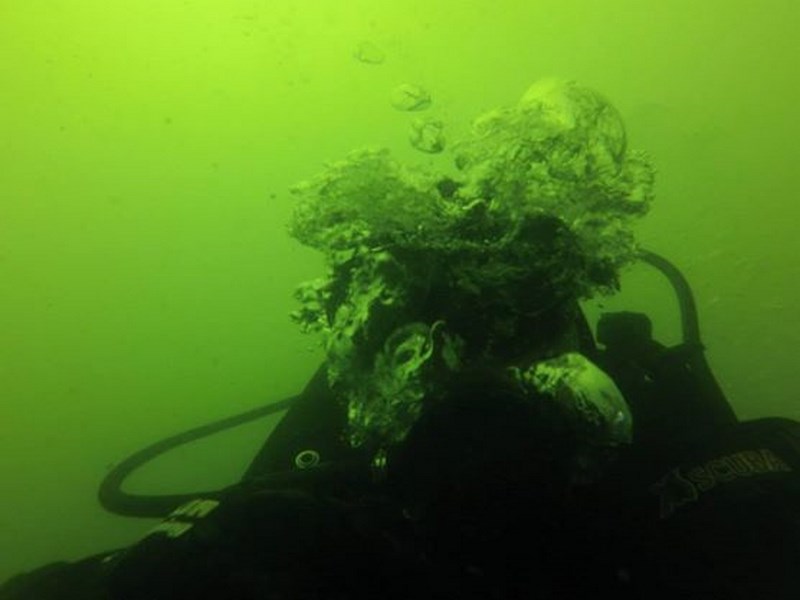 Fotografía 3 de Escuela de buceo en Arica, Oceano Sub en Arica, Arica Y Parinacota