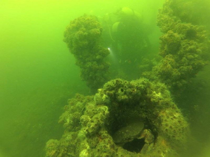 Fotografía 6 de Escuela de buceo en Arica, Oceano Sub en Arica, Arica Y Parinacota