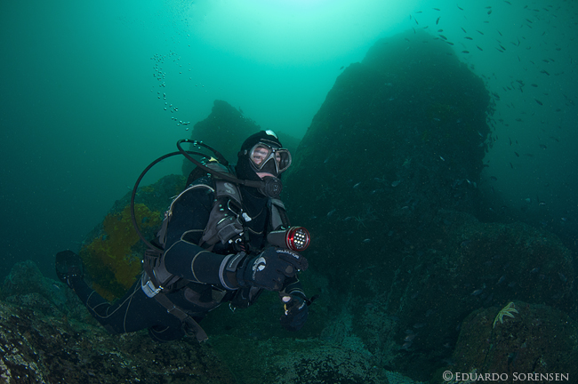 Fotografía 4 de Centro de Buceo en Coquimbo en Coquimbo, Coquimbo