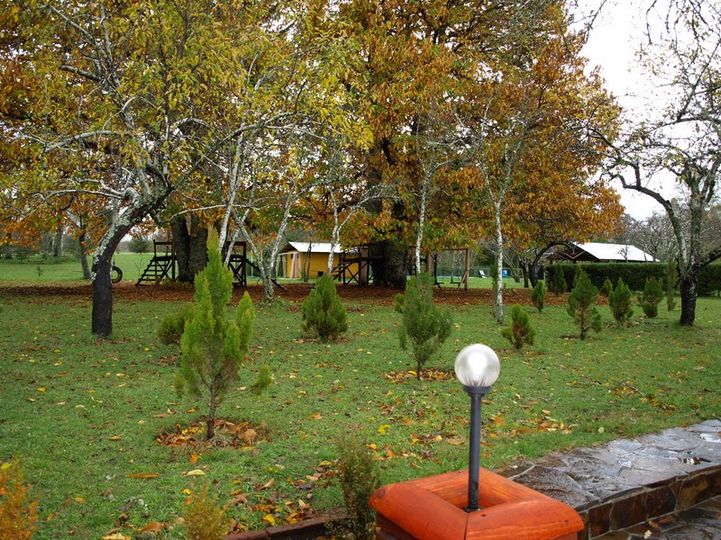 Fotografía 3 de Cabañas y Centro de eventos Terranostra en Cunco, Araucania