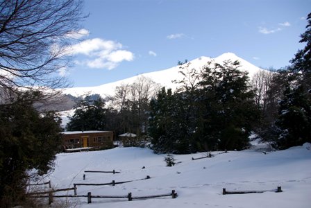 Fotografía 10 de Semana Blanca En Conguillio en Melipeuco, Araucania