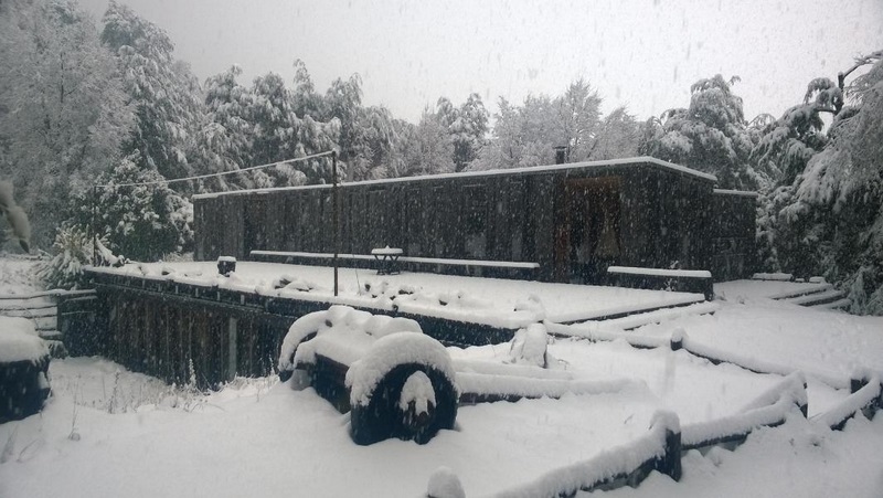 Fotografía 6 de Semana Blanca En Conguillio en Melipeuco, Araucania