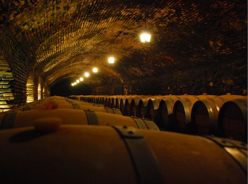 Fotografía 3 de Ruta del Vino en Santiago, Metropolitana