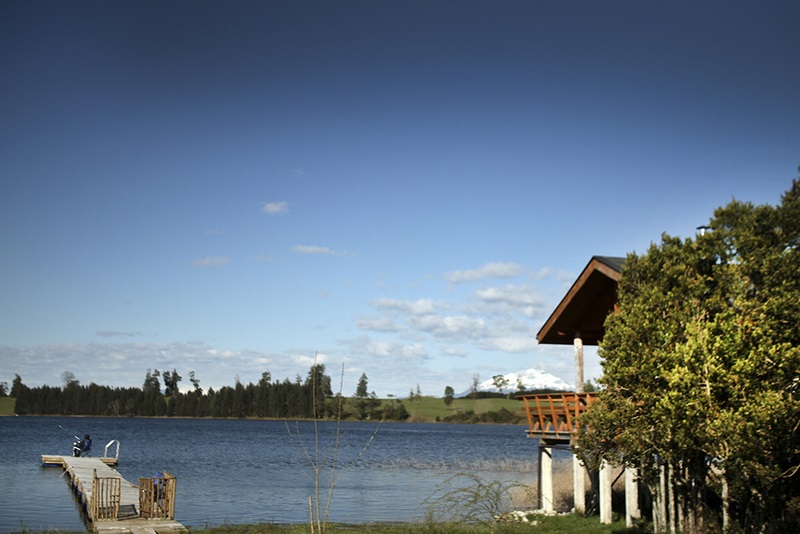 Fotografía 3 de Cabañas en palafitos en lago privado.  en Puerto Varas, Los Lagos