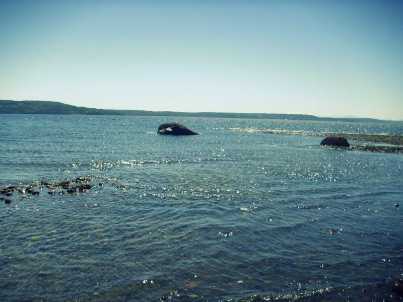 Fotografía 7 de Hospedaje Río Sur  en Quellon, Los Lagos