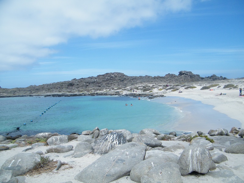 Fotografía 3 de Tour Isla Damas en La Serena, Coquimbo