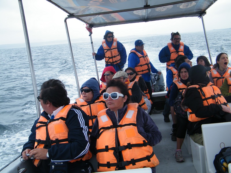 Fotografía 4 de Tour Isla Damas en La Serena, Coquimbo