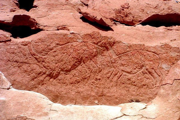 Fotografía 13 de Tours y Subidas a Volcanes en San Pedro de Atacama en San Pedro De Atacama, Antofagasta