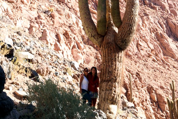 Fotografía 2 de Tours y Subidas a Volcanes en San Pedro de Atacama en San Pedro De Atacama, Antofagasta
