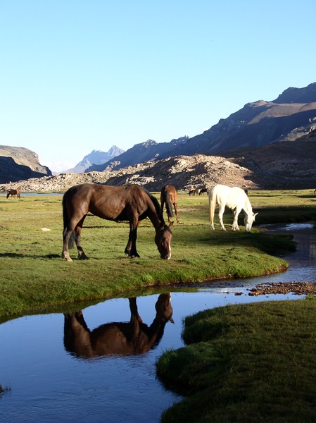 Fotografía 6 de Lodge Andino en Cajón del Maipo en SAN JOSE DE MAIPO, Metropolitana