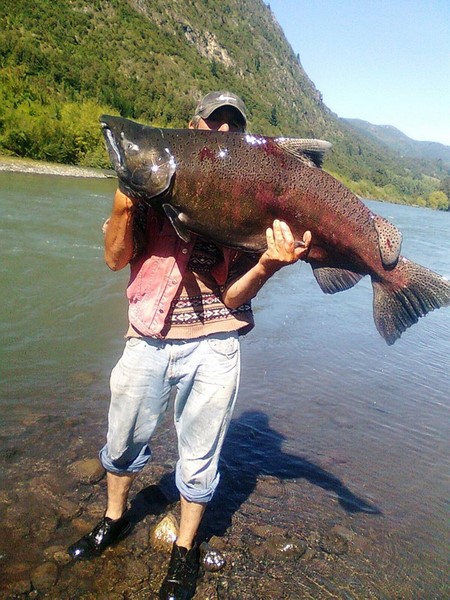 Fotografía 9 de Lodge de pesca en Villarrica Toltín Lodge en Villarrica, Araucania