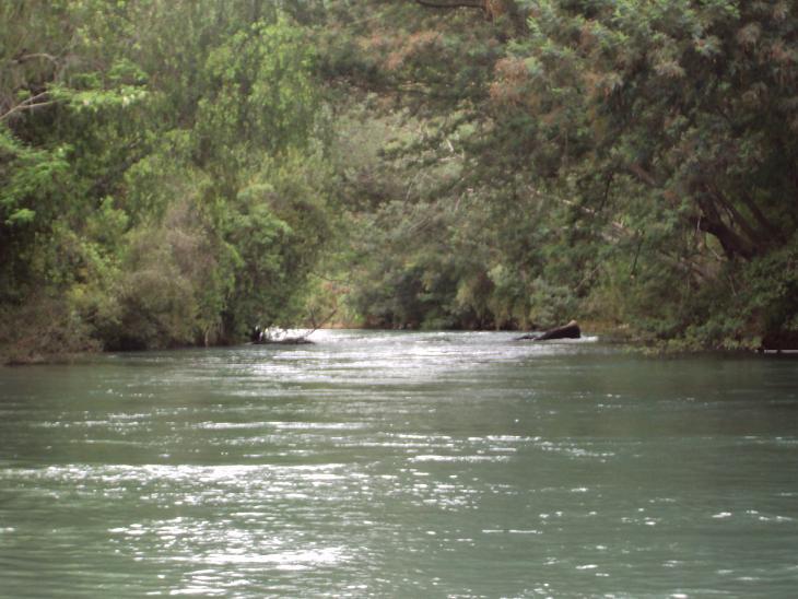 Fotografía 3 de Cabañas y Camping Maranata, Parral en Parral, Maule