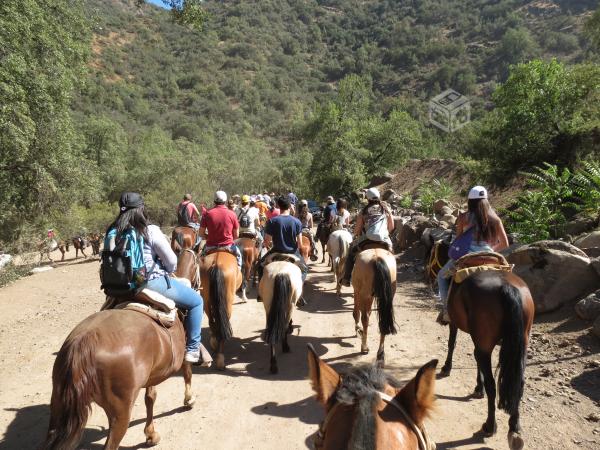 Fotografía 2 de Cabalgatas Arrayan en Las Condes, Metropolitana