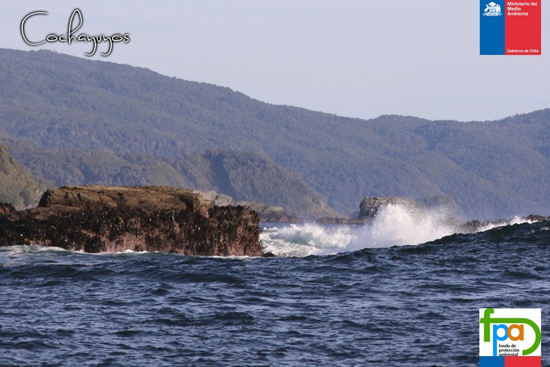 Fotografía 3 de Paseos Nauticos Lafen Mapu en San Juan De La Costa, Los Lagos