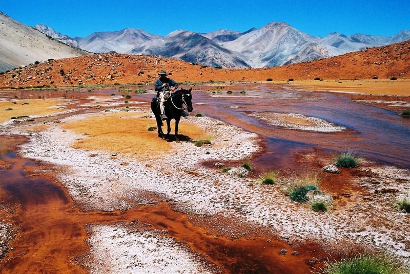 Fotografía 2 de Turismo Migrantes - Vale del Elqui en Paihuano, Coquimbo